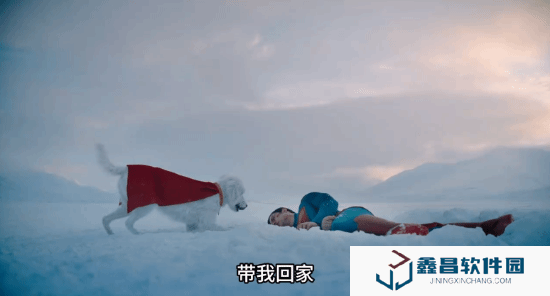 本站
